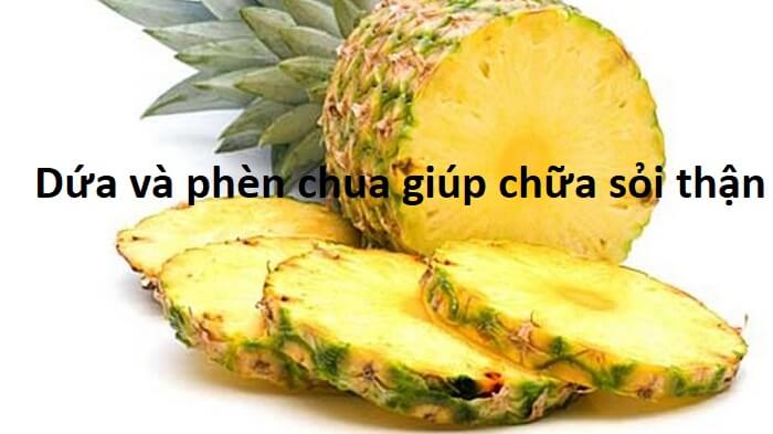  Dứa chứa các chất như axit citric có trong các bài thuốc chữa bệnh sỏi thận