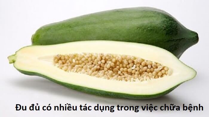 chuối hột đã được các thầy thuốc sử dụng để điều trị các căn bệnh thường gặp