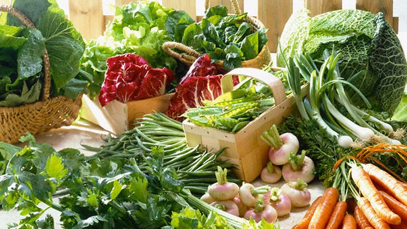 Rau xanh có chứa nhiều hợp chất chống oxy hóa và chống tia UV