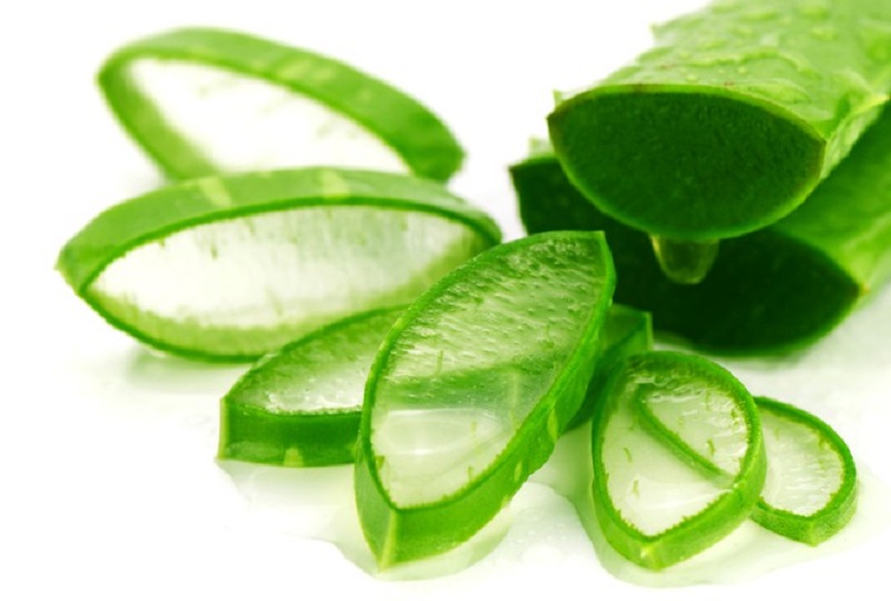 Nha đam trị mụn, dưỡng trắng rất hiệu quả cho mọi loại da