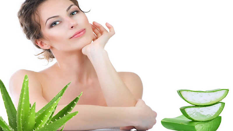 Nha đam làm mát da, cung cấp độ ẩm giúp tái tạo, làm mờ nếp nhăn