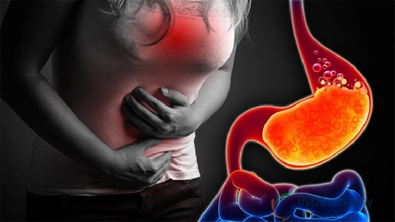 Đau dạ dày do viêm loét gây nên, thường đau âm ỉ và bị trào ngược dạ dày