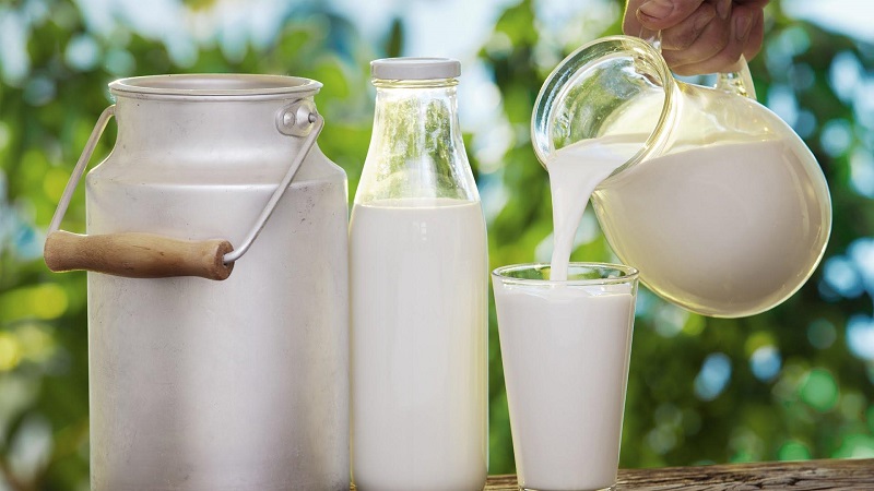 Sữa tươi không đường giúp da chắc khỏe từ sâu bên trong